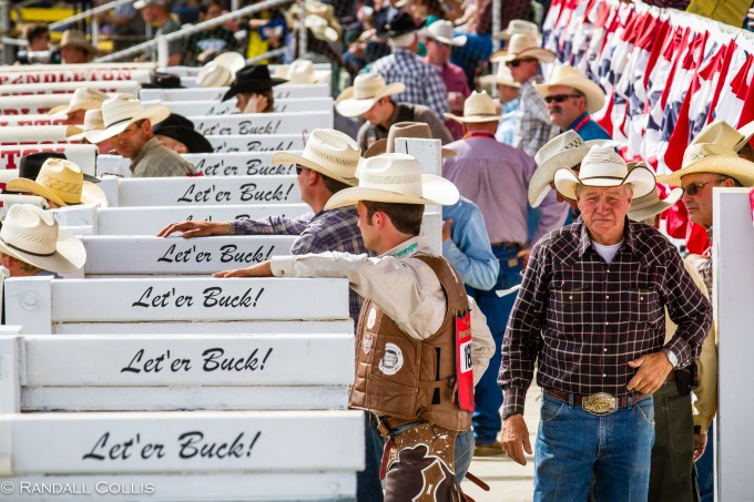 Pendleton Round-Up Let'er Buck - Life of a Cowboy-11