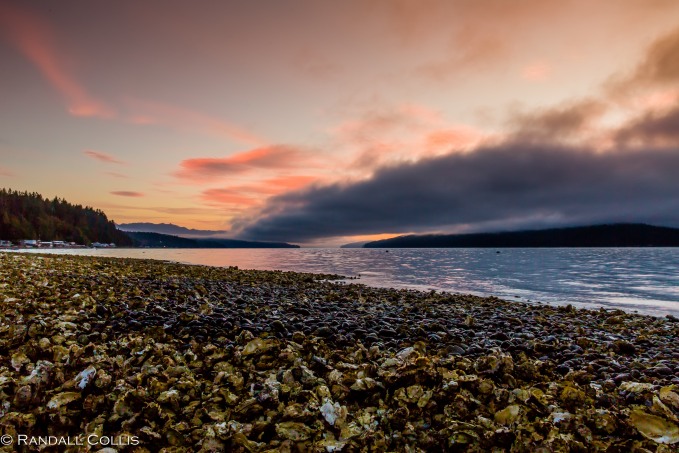 olympic-national-forest-hood-canal-1